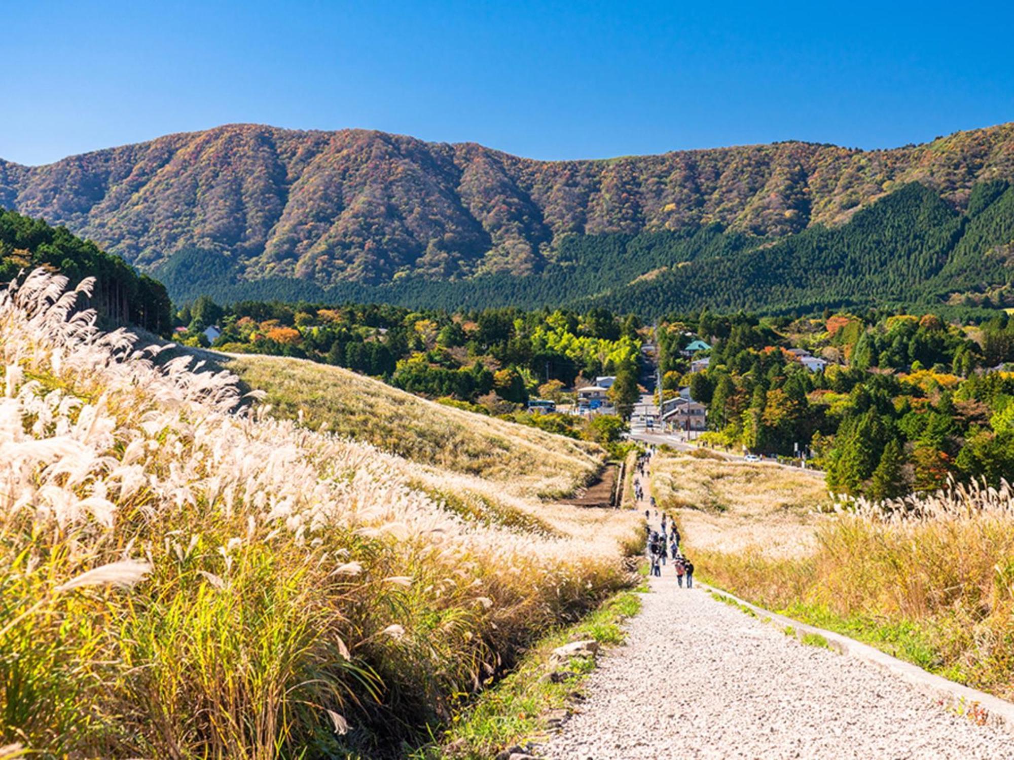 Hotel Shikinoyakata Hakone Ashinoko Kültér fotó